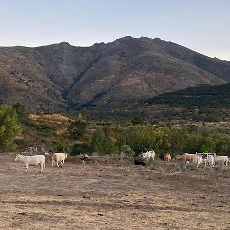 Casa Maria Villanueva de Avila