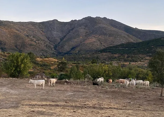 Casa Maria Villanueva de Avila